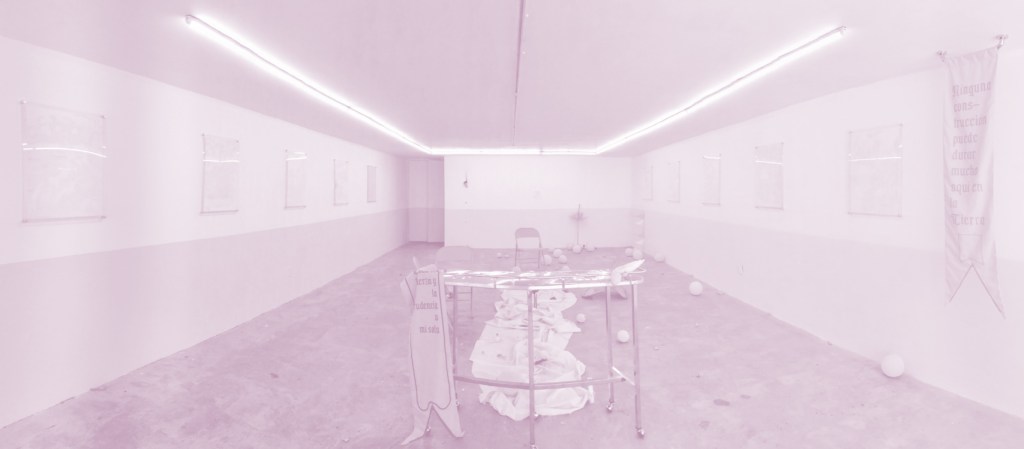 ‘Party hard’ y al final los atraparon. Natalia Rodríguez Caballero en Proyecto&nbsp;CAIMAN