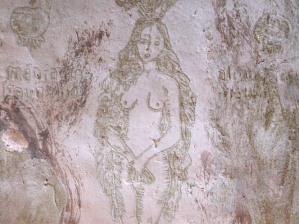 Carmen Jacobo | Mujer recolectora: la primera&nbsp;botánica