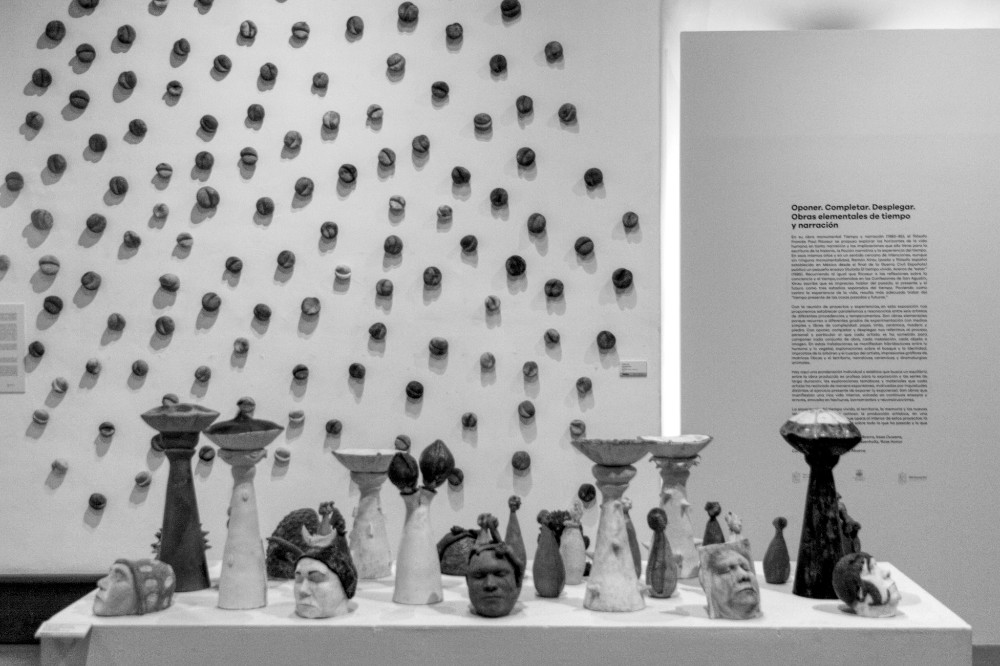 Florentino Ibarra | Por una flora&nbsp;humana